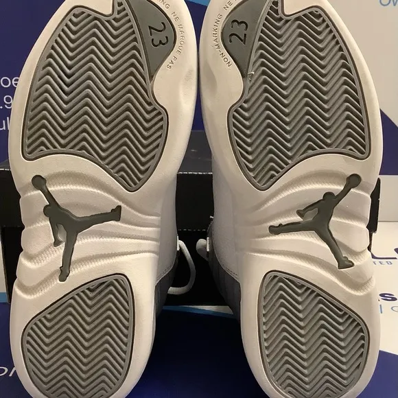 Air Jordan 12 Stealth White Cool Grey Kids 2y