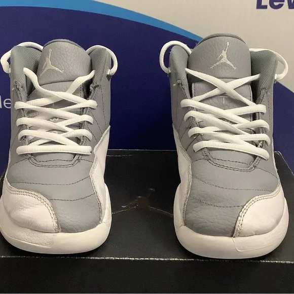 Air Jordan 12 Stealth White Cool Grey Kids 2y