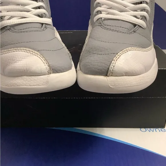 Air Jordan 12 Stealth White Cool Grey Kids 2y