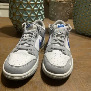 Gray and Blue Nike dunks!