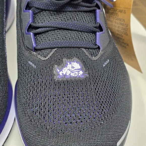 Nike Air Zoom Pegasus 41 TCU Horned Frogs Shoes Men's Size 11 FZ5143-001 New