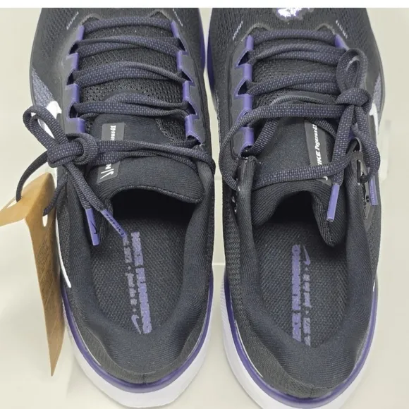 Nike Air Zoom Pegasus 41 TCU Horned Frogs Shoes Men's Size 11 FZ5143-001 New