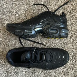 Nike Boys Air Max Plus Running Shoes NWOT
