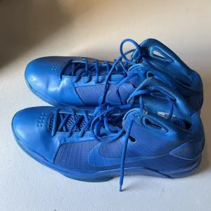 Nike Hyperdunk Blue Size 15