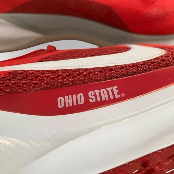 Nike Pegasus 41 Ohio State Buckeyes Running Shoes FZ5135-600 Mens size 11 New